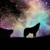 Wolf With Northern Lights Paint by numbers