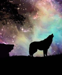 Wolf With Northern Lights Paint by numbers