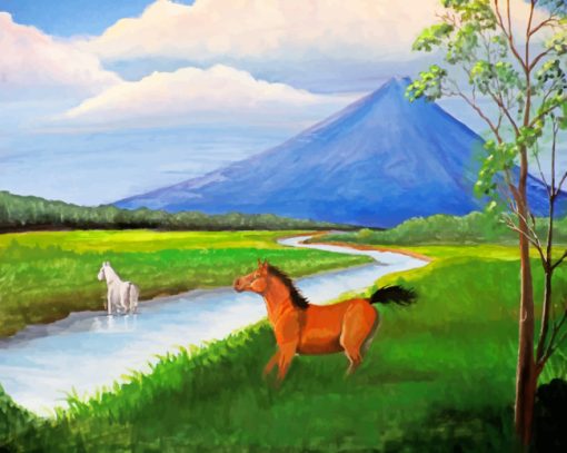 Volcano Horses Of Costa Rica paint by numbers