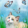 Kitty And Butterflies Paint by numbers