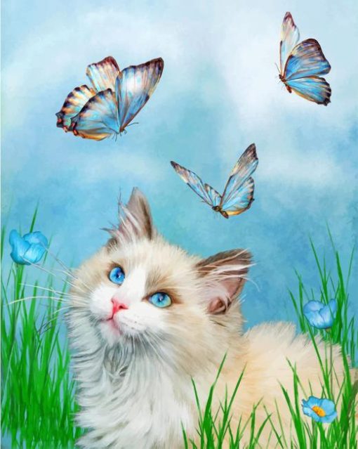 Kitty And Butterflies Paint by numbers