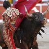 Latino Bullfighter paint by numbers