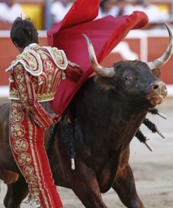 Latino Bullfighter paint by numbers