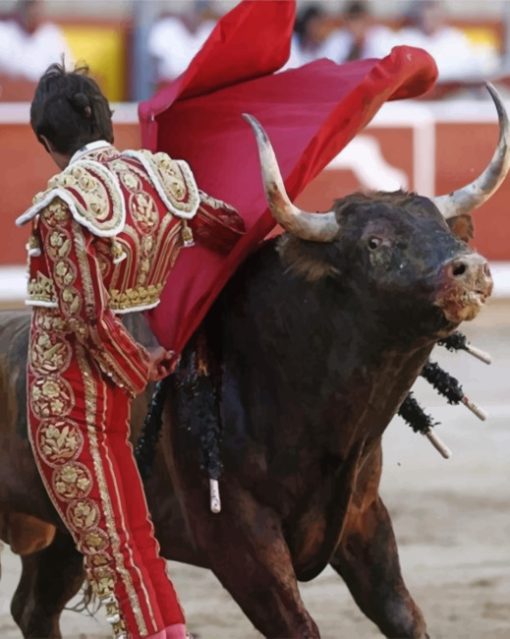 Latino Bullfighter paint by numbers