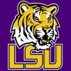 LSU Tigers Illustration Paint by numbers