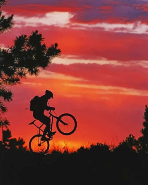 Mountain Bike Silhouette Paint by numbers