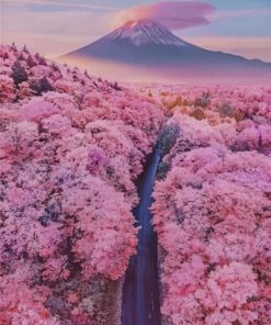 Mt Fuji With Cherry Blossoms Paint by numbers