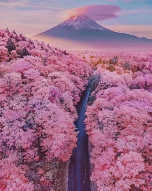 Mt Fuji With Cherry Blossoms Paint by numbers