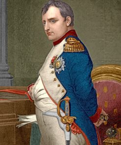 Napoleon Bonaparte Paint by numbers