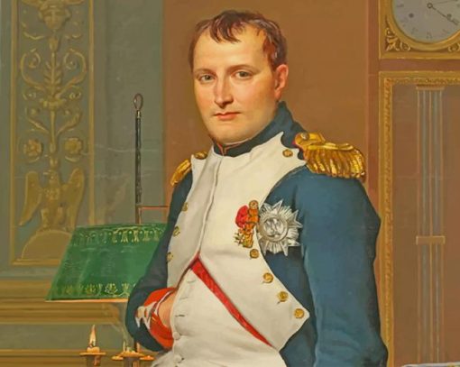 Napoleon Bonaparte paint by numbers