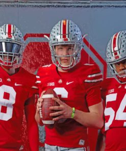 Ohio State Football Paint by numbers