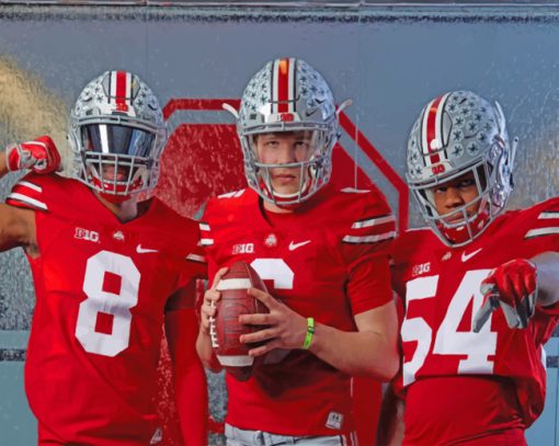 Ohio State Football Paint by numbers