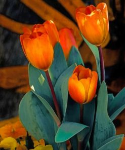 Orange Tulips paint by numbers