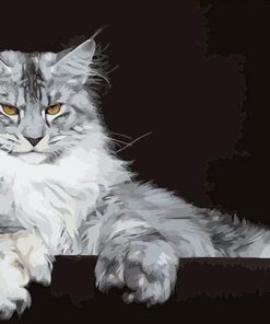 Maine Coon Cat Paint by numbers