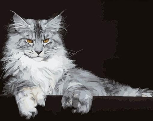 Maine Coon Cat Paint by numbers