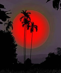 Palms Silhouette Sunset paint by numbers