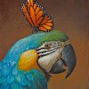 Parrot And Butterfly paint by numbers