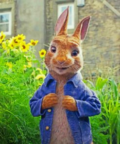 Peter Rabbit Paint by numbers