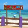 Puerto Morelos Mexico Paint by numbers