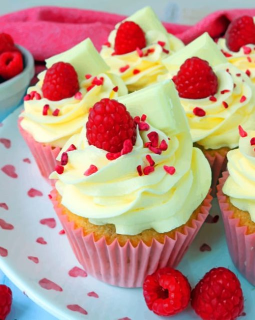 Raspberry White Choc Cupcakes Paint by numbers