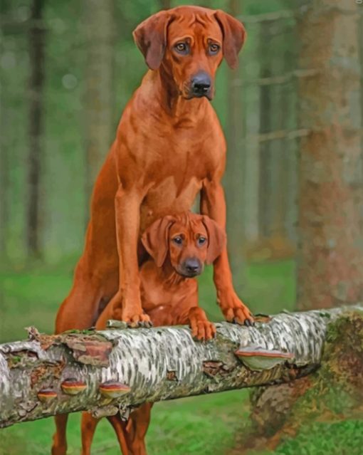 Rhodesian Ridgeback Dog paint by numbers