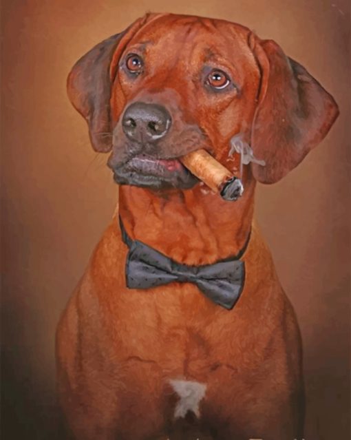 Rhodesian Ridgeback Smoking paint by numbers