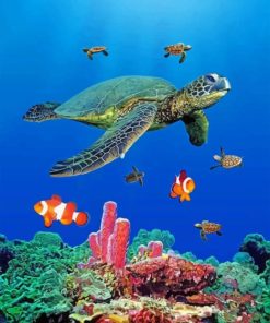 Sea Turtles paint by numbers