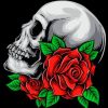 Skull And Rose paint by numbers