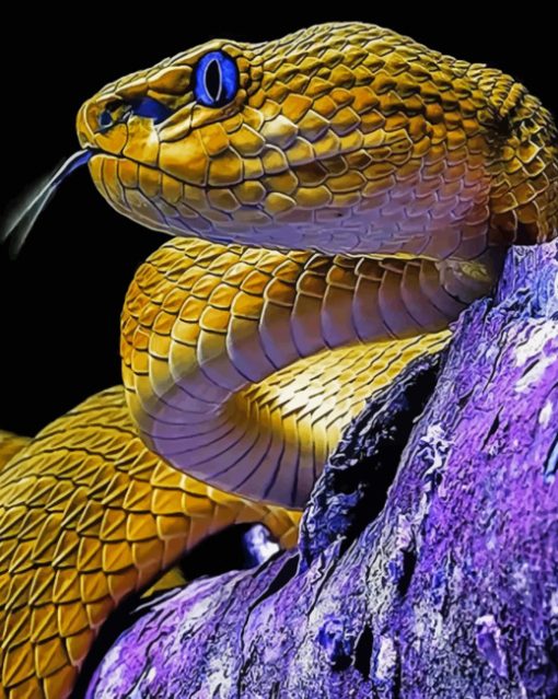 Yellow Serpent Paint by numbers