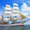 White Tall Ship paint by numbers