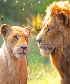 The Lion King And His Lioness paint by numbers