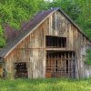 The Old Barn In Denton Texas Paint by numbers