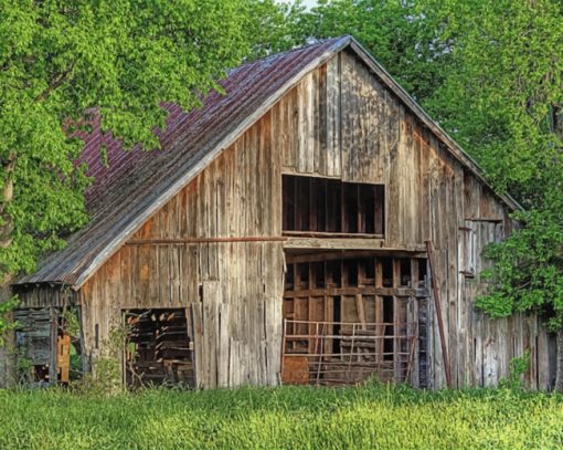 The Old Barn In Denton Texas Paint by numbers