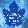 Toronto Maple Leafs paint by numbers