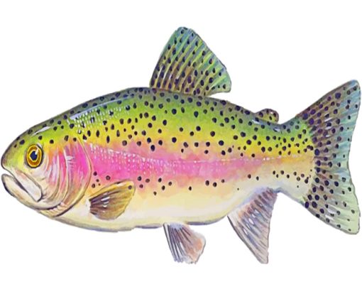 Trout Illustration paint by numbers