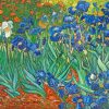 Van Gogh Irises Paint by numbers