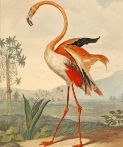 Flamingo Bird paint by numbers