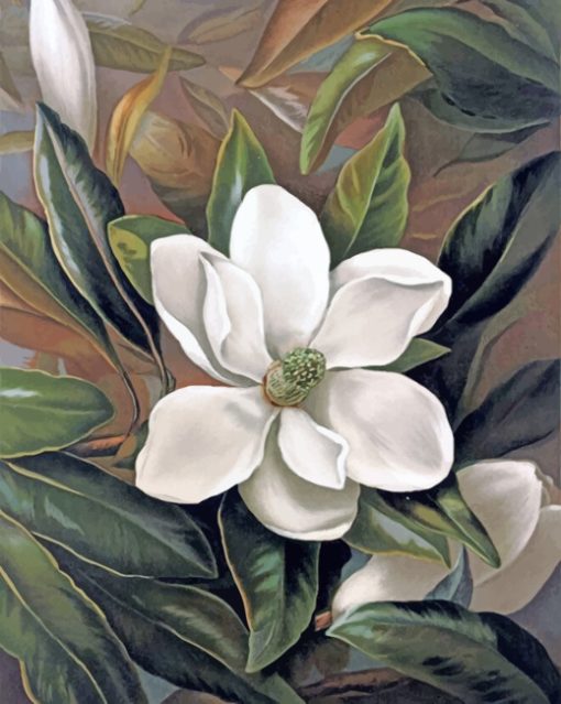 Magnolia Paint by numbers