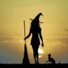 Witch And Her Cat Silhouette paint by numbers