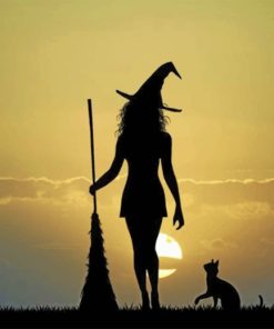 Witch And Her Cat Silhouette paint by numbers