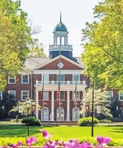 Aesthetic Elon University paint by number