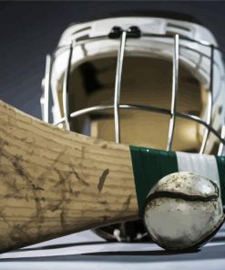 Camogie Sport Equipment paint by number