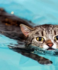 Cat In Water paint by number