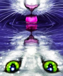 Cat Reflection In Water paint by number