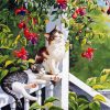 Cats And Hummingbird paint by number