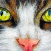 Close Up Cat Pastel paint by number