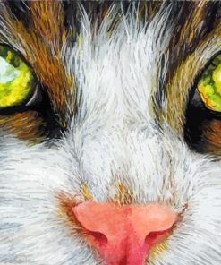 Close Up Cat Pastel paint by number