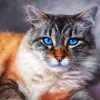 Cute Cat Pastel Art paint by number