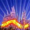 Fantasy Harry Potter Hogwarts Castle paint by number