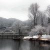 Lake Junaluska In Winter paint by number